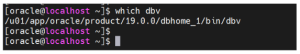 Using DBVERIFY (DBV) to Validate Oracle Datafiles in Oracle Database 19c Standalone