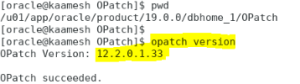 DATABASE PATCHING