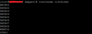 Steps to create ACFS file system