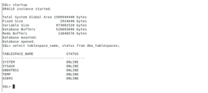 MIGRATING 19C DATABASE FROM LINUX TO WINDOWS.