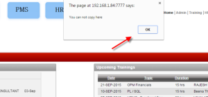 Restrict Copy Paste & Right Click In Apex Page