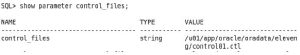 Multiplex Oracle control file
