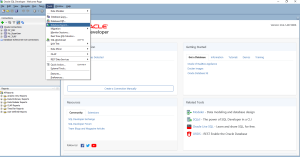 Exporting User Objects Using SQL developer