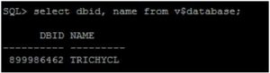Oracle NID Utility