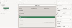 Virtual Private Database (VPD) in Oracle APEX for securing data access