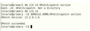 How to Apply a Patch(Patch 30886680: DATABASE APR 2020 RELEASE UPDATE 12.2.0.1.200414)