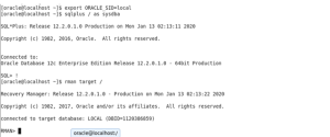 Restore A Loss Of Controlfile Using Autobackup
