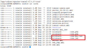 How to apply SSL/HTTPS vendor certificate for apex application deployed on apache tomcat