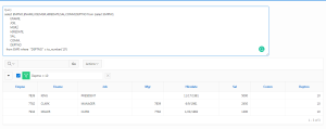 Interactive Report Filter Query