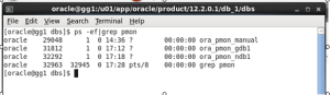CONVERTING NON-CONTAINER DATABASE TO CONTAINER DATABASE