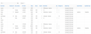 Translating Oracle APEX Applications into Different Languages