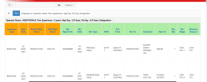 Using Control Break in Oracle APEX to Fix the Scroll-bar in an Interactive Report