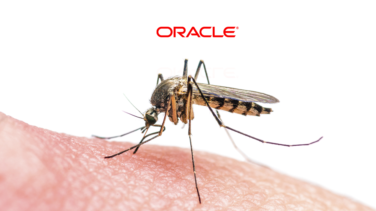 how-oracle-is-helping-to-fight-against-a-mosquito-borne-disease