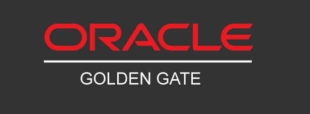 Oracle GoldenGate 19c Silent Installlation