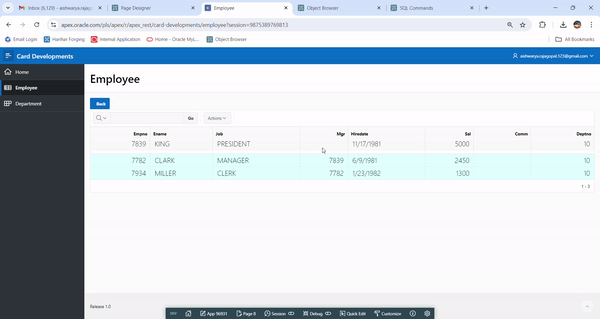 Enhancing Oracle APEX Interactive Reports with Hover and Zooming Effects