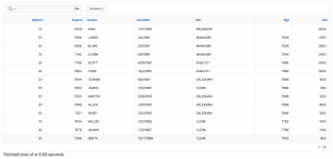 Display Report Execution Time with #TIMING# in Oracle APEX