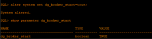DATAGAURD BROKER CONFIGURATION